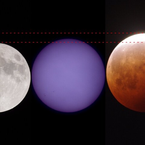 スーパームーン、ミニマムーン、太陽　大きさ比較