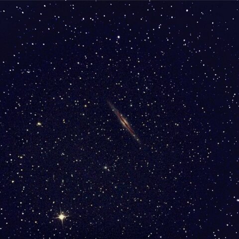 NGC891