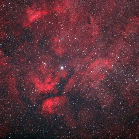 はくちょう座　γ星（IC1318)付近