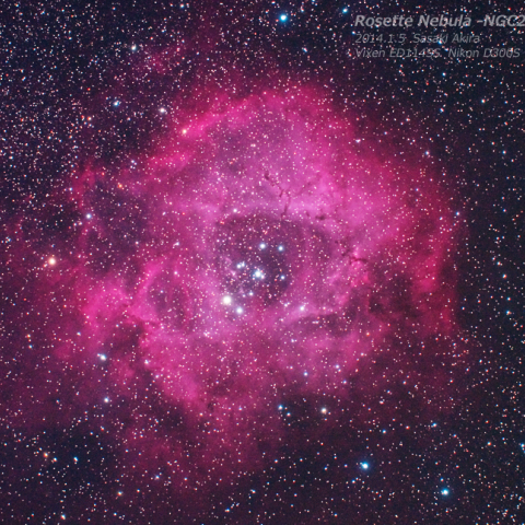 バラ星雲 - Rosette Nebula -