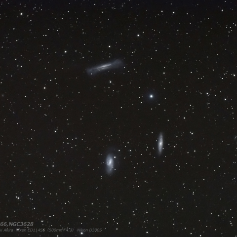 しし座の三つ子銀河　Leo Triplet