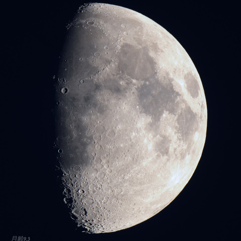 月齢9.3　上弦の月