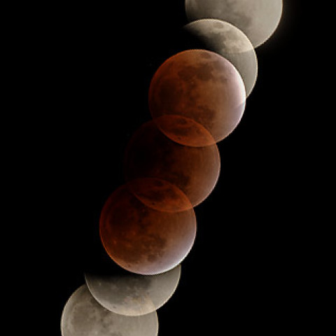 Total Eclipse of the Moon 