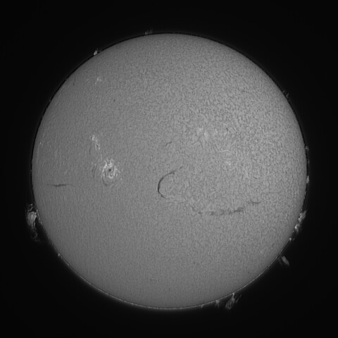 太陽 Hα線全面像 2026/03/16