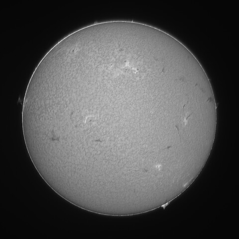 太陽 Hα線全面像 2026/03/24