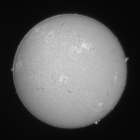 太陽 Hα線全面像 2026/03/28