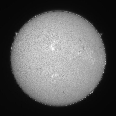 太陽 Hα線全面像　2026/04/03