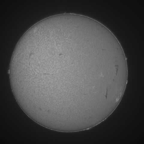 太陽 Hα線全面像　2026/04/09