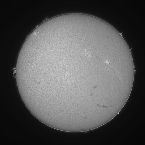 太陽 Hα線全面像　2026/04/14