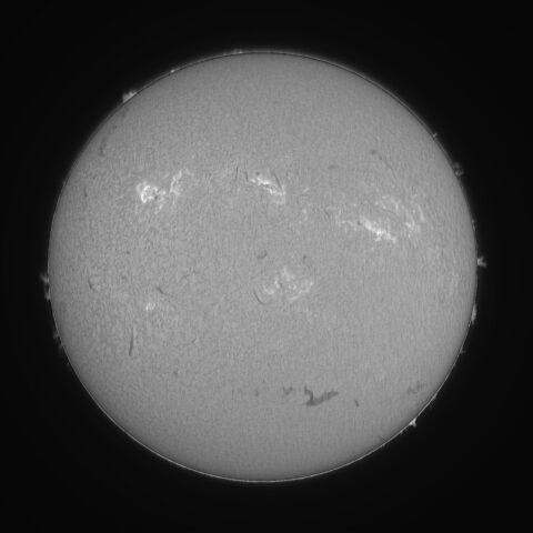 太陽 Hα線全面像　2026/04/28