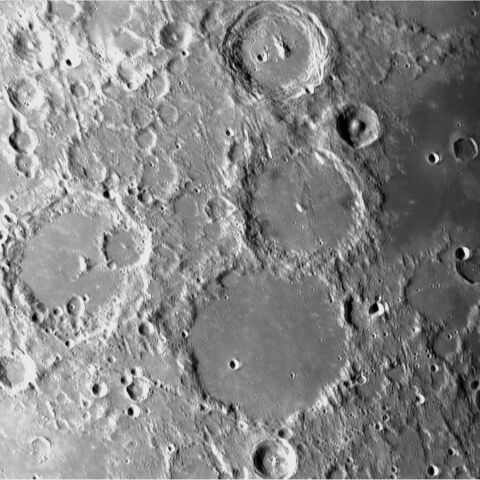 アルフォンスス付近（2025/06/05）