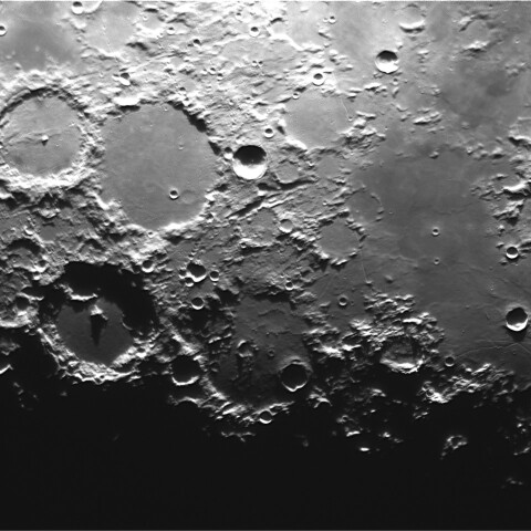 アルフォンスス～トリスネッカー（2025/06/18）