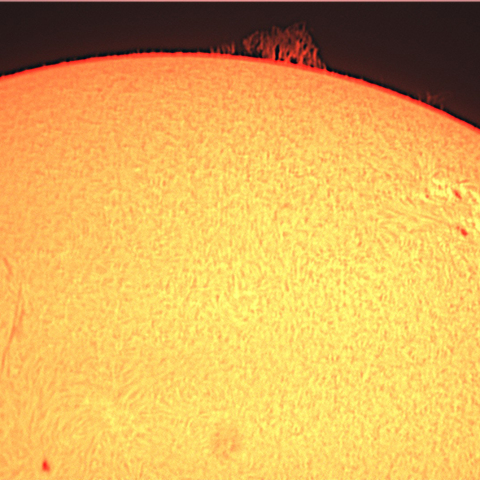 太陽（21/10/24）