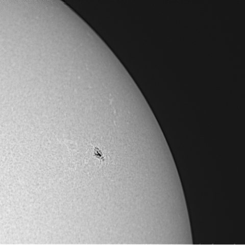 白色光による太陽(2022/08/21)