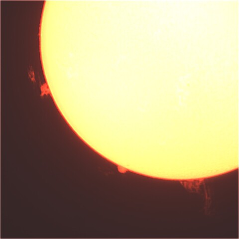 6月25日の太陽面