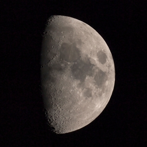 昨夜（7/9）のお月さん