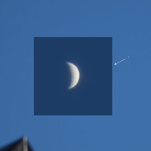 昼間の金星 2021年11月28日