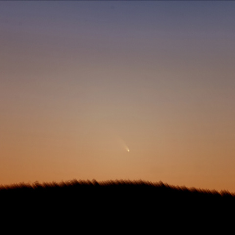 パンスターズ彗星3月11日