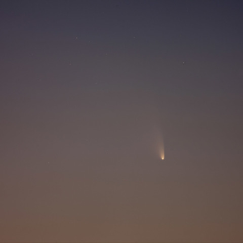 3.15パンスターズ彗星