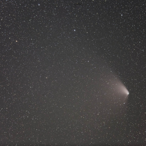 4/13のパンスターズ彗星