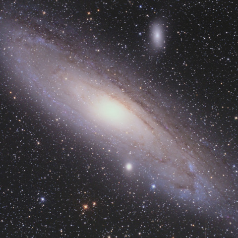 M31