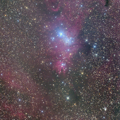 クリスマスツリー星団 Christmas Tree Cluster NGC2264