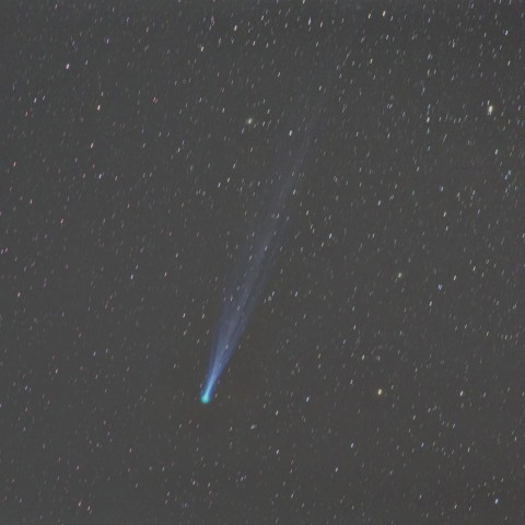 11月16日のアイソン彗星