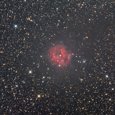 冷却6D(SEO-Cooled 6D)によるまゆ星雲