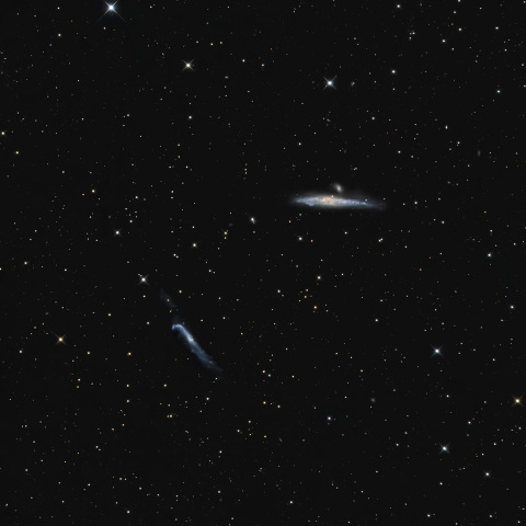 くじら銀河とホッケー銀河（NCG4631 and NGC4656）