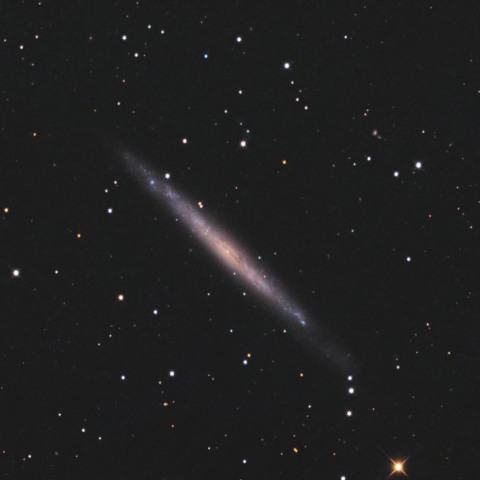 NGC4244