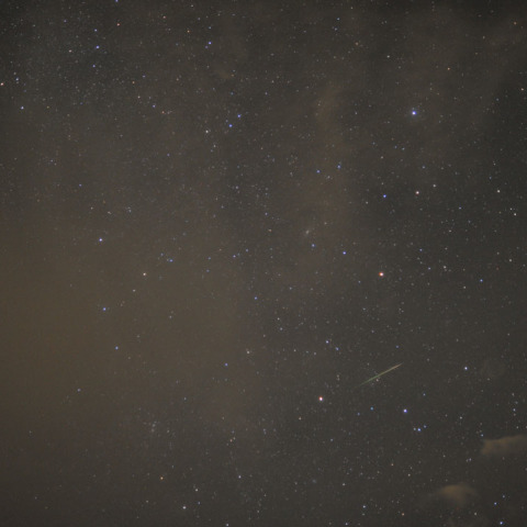 2010年のペルセウス座流星群