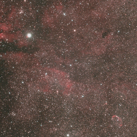 はくちょう座サドル周辺の散光星雲群