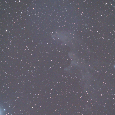 エリダヌスの魔女