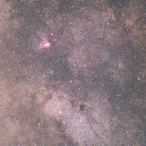 バンビと二頭の蝶々