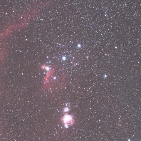 バーナードループ