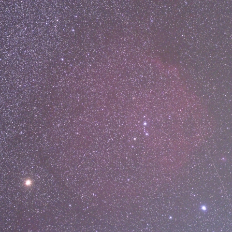 エンゼルフィッシュ星雲