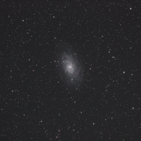 M33