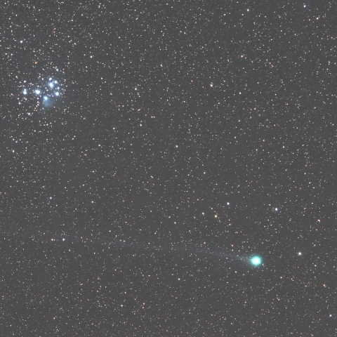 ラヴジョイ彗星とプレアデス星団