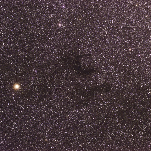 わし座γ星と暗黒星雲