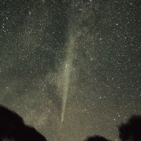 ラブジョイ彗星