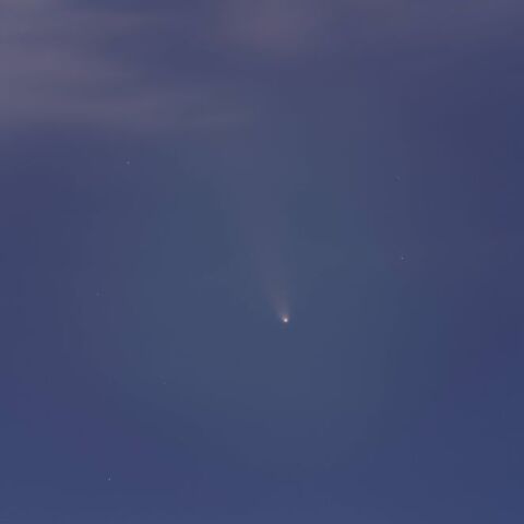 紫金山・アトラス彗星（C/2023 A3）