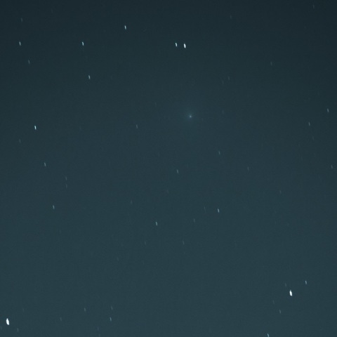 ウィルタネン彗星