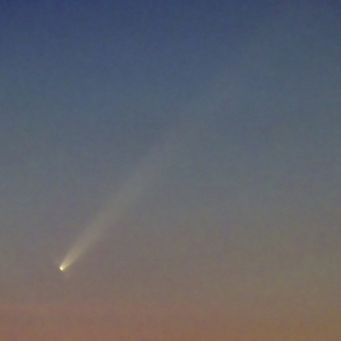 紫金山・アトラス彗星(10月1日)