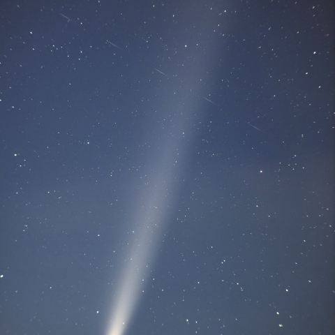 紫金山・アトラス彗星(10月18日)