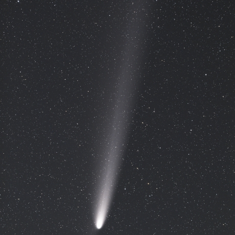 紫金山・アトラス彗星(10月23日)