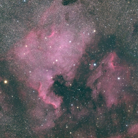 北アメリカ＆ペリカン星雲