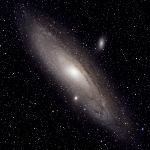 M31