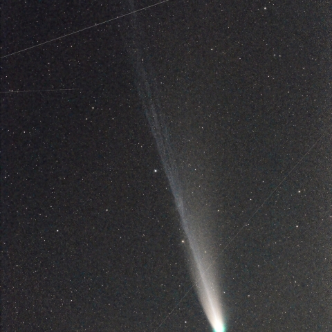 C/2025 A6 (Lemmon彗星)
