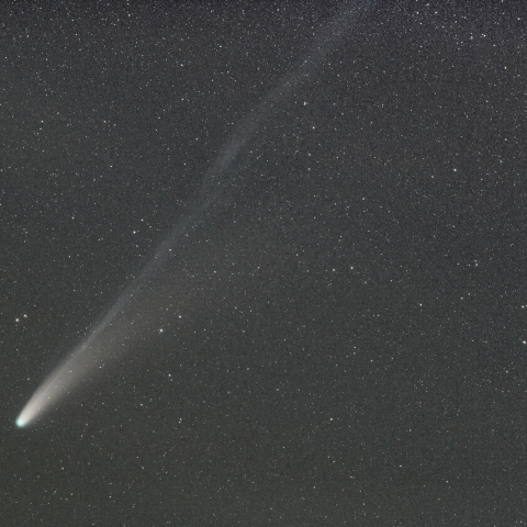 C/2025 A6 (Lemmon彗星) 10月29日