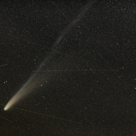 C/2025 A6 (Lemmon彗星) 10月29日Part2